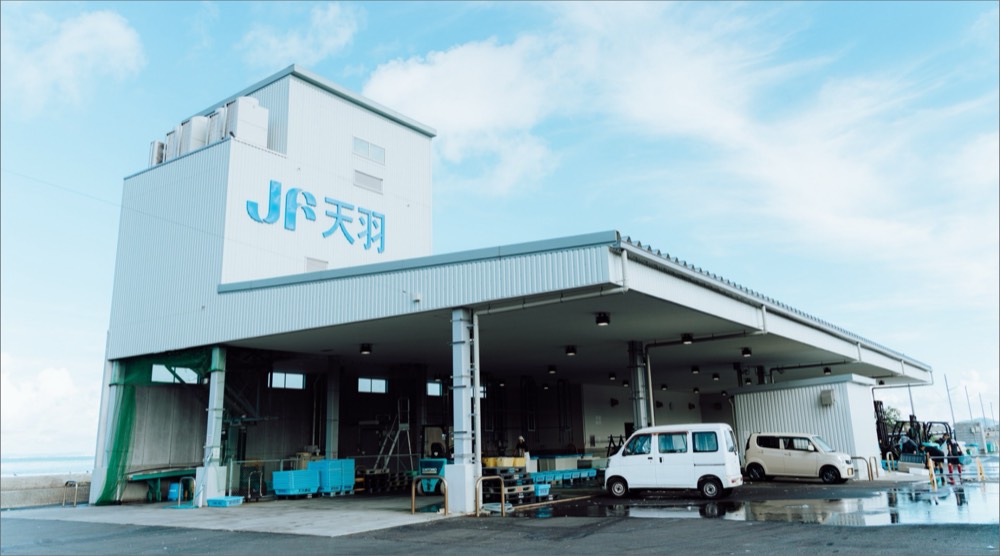 水産加工